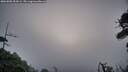 ./images/calvert/fitz-hugh-hecate/20260805/fitz-hugh-hecate20260805_054502M.jpg