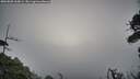 ./images/calvert/fitz-hugh-hecate/20260805/fitz-hugh-hecate20260805_060001M.jpg