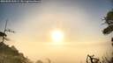 ./images/calvert/fitz-hugh-hecate/20260805/fitz-hugh-hecate20260805_065501M.jpg
