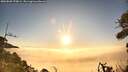 ./images/calvert/fitz-hugh-hecate/20260805/fitz-hugh-hecate20260805_070001M.jpg