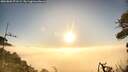 ./images/calvert/fitz-hugh-hecate/20260805/fitz-hugh-hecate20260805_071502M.jpg