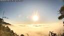 ./images/calvert/fitz-hugh-hecate/20260805/fitz-hugh-hecate20260805_072001M.jpg