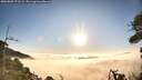 ./images/calvert/fitz-hugh-hecate/20260805/fitz-hugh-hecate20260805_072502M.jpg