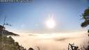 ./images/calvert/fitz-hugh-hecate/20260805/fitz-hugh-hecate20260805_073001M.jpg