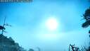 ./images/calvert/fitz-hugh-hecate/20260805/fitz-hugh-hecate20260805_073501M.jpg