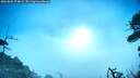 ./images/calvert/fitz-hugh-hecate/20260805/fitz-hugh-hecate20260805_074001M.jpg