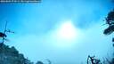 ./images/calvert/fitz-hugh-hecate/20260805/fitz-hugh-hecate20260805_074501M.jpg