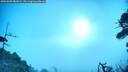 ./images/calvert/fitz-hugh-hecate/20260805/fitz-hugh-hecate20260805_081001M.jpg