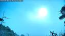./images/calvert/fitz-hugh-hecate/20260805/fitz-hugh-hecate20260805_082502M.jpg