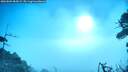 ./images/calvert/fitz-hugh-hecate/20260805/fitz-hugh-hecate20260805_083002M.jpg