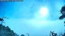 ./images/calvert/fitz-hugh-hecate/20260805/fitz-hugh-hecate20260805_083501M.jpg