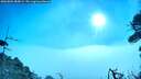 ./images/calvert/fitz-hugh-hecate/20260805/fitz-hugh-hecate20260805_085002M.jpg