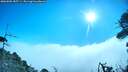 ./images/calvert/fitz-hugh-hecate/20260805/fitz-hugh-hecate20260805_085501M.jpg