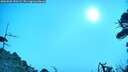 ./images/calvert/fitz-hugh-hecate/20260805/fitz-hugh-hecate20260805_090502M.jpg