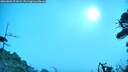 ./images/calvert/fitz-hugh-hecate/20260805/fitz-hugh-hecate20260805_091001M.jpg