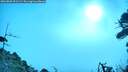./images/calvert/fitz-hugh-hecate/20260805/fitz-hugh-hecate20260805_091501M.jpg