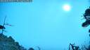 ./images/calvert/fitz-hugh-hecate/20260805/fitz-hugh-hecate20260805_092001M.jpg