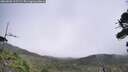 ./images/calvert/fitz-hugh-hecate/20260805/fitz-hugh-hecate20260805_112501M.jpg