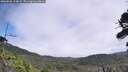 ./images/calvert/fitz-hugh-hecate/20260805/fitz-hugh-hecate20260805_124002M.jpg
