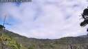 ./images/calvert/fitz-hugh-hecate/20260805/fitz-hugh-hecate20260805_124501M.jpg
