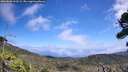 ./images/calvert/fitz-hugh-hecate/20260805/fitz-hugh-hecate20260805_133502M.jpg