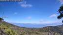 ./images/calvert/fitz-hugh-hecate/20260805/fitz-hugh-hecate20260805_140501M.jpg