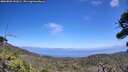 ./images/calvert/fitz-hugh-hecate/20260805/fitz-hugh-hecate20260805_141001M.jpg