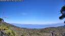 ./images/calvert/fitz-hugh-hecate/20260805/fitz-hugh-hecate20260805_142501M.jpg