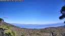 ./images/calvert/fitz-hugh-hecate/20260805/fitz-hugh-hecate20260805_150501M.jpg