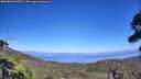 ./images/calvert/fitz-hugh-hecate/20260805/fitz-hugh-hecate20260805_152002M.jpg