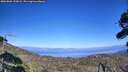 ./images/calvert/fitz-hugh-hecate/20260805/fitz-hugh-hecate20260805_155002M.jpg