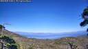 ./images/calvert/fitz-hugh-hecate/20260805/fitz-hugh-hecate20260805_163001M.jpg