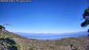 ./images/calvert/fitz-hugh-hecate/20260805/fitz-hugh-hecate20260805_164002M.jpg