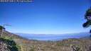 ./images/calvert/fitz-hugh-hecate/20260805/fitz-hugh-hecate20260805_165001M.jpg