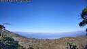 ./images/calvert/fitz-hugh-hecate/20260805/fitz-hugh-hecate20260805_184501M.jpg