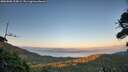 ./images/calvert/fitz-hugh-hecate/20260805/fitz-hugh-hecate20260805_205001M.jpg