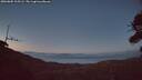 ./images/calvert/fitz-hugh-hecate/20260805/fitz-hugh-hecate20260805_215501M.jpg