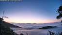 ./images/calvert/fitz-hugh-hecate/20260806/fitz-hugh-hecate20260806_053501M.jpg