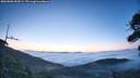 ./images/calvert/fitz-hugh-hecate/20260806/fitz-hugh-hecate20260806_054502M.jpg