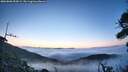 ./images/calvert/fitz-hugh-hecate/20260806/fitz-hugh-hecate20260806_055001M.jpg