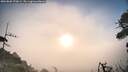 ./images/calvert/fitz-hugh-hecate/20260806/fitz-hugh-hecate20260806_070001M.jpg
