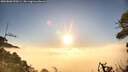 ./images/calvert/fitz-hugh-hecate/20260806/fitz-hugh-hecate20260806_070501M.jpg