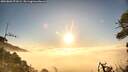 ./images/calvert/fitz-hugh-hecate/20260806/fitz-hugh-hecate20260806_071001M.jpg