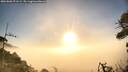 ./images/calvert/fitz-hugh-hecate/20260806/fitz-hugh-hecate20260806_071501M.jpg