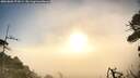 ./images/calvert/fitz-hugh-hecate/20260806/fitz-hugh-hecate20260806_072001M.jpg