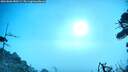 ./images/calvert/fitz-hugh-hecate/20260806/fitz-hugh-hecate20260806_080501M.jpg