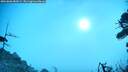 ./images/calvert/fitz-hugh-hecate/20260806/fitz-hugh-hecate20260806_082001M.jpg