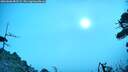 ./images/calvert/fitz-hugh-hecate/20260806/fitz-hugh-hecate20260806_082501M.jpg