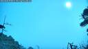 ./images/calvert/fitz-hugh-hecate/20260806/fitz-hugh-hecate20260806_094001M.jpg
