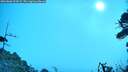 ./images/calvert/fitz-hugh-hecate/20260806/fitz-hugh-hecate20260806_094501M.jpg